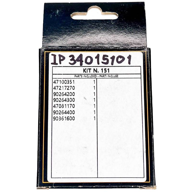 Interpump Group Pump Seals Kit 151