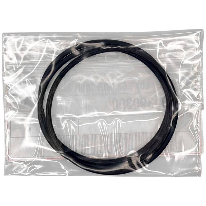 Interpump Group Pump Seals Kit 2191