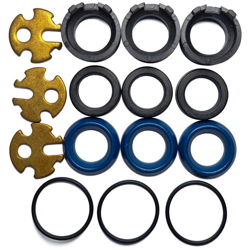 Annovi Reverberi Water seal Kit, AR2624 - VIP SERIES