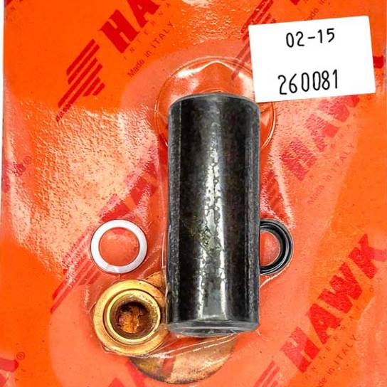 HAWK Seals Kit D18 260081