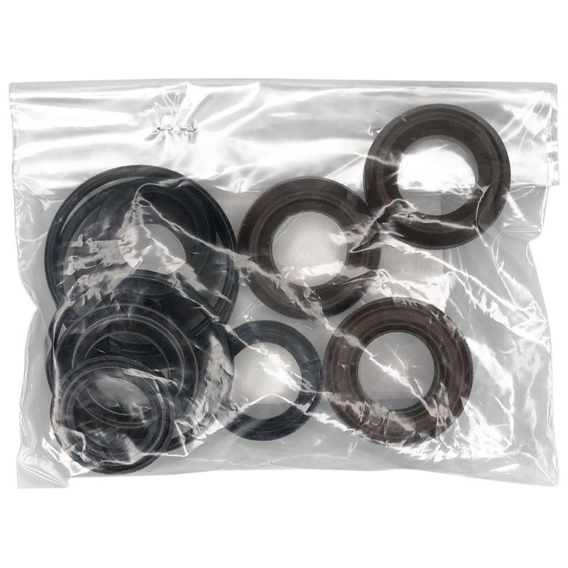 Interpump Group Pump Seals Kit 2024