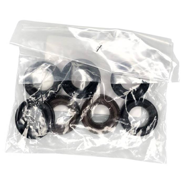 Interpump Group Pump Seals Kit 109