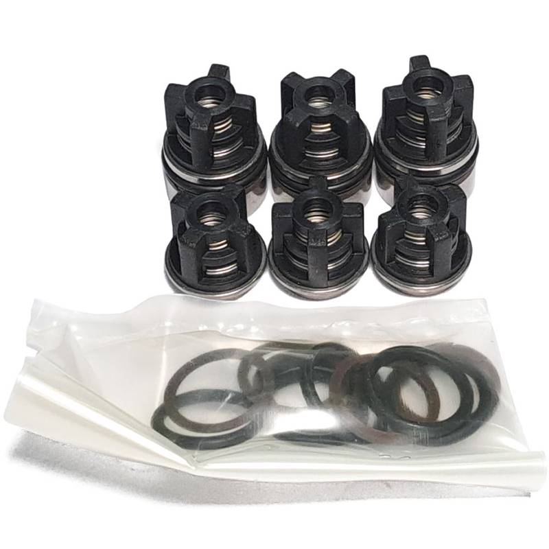 UDOR 6061G1 (Kit 152) : Valve Set